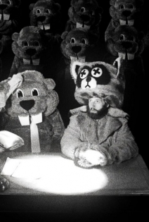 Сотни бобров